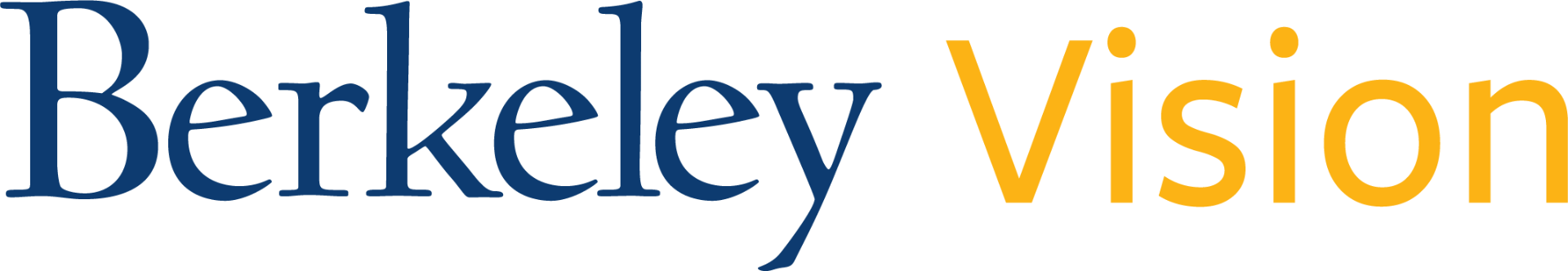 Berkeley Vision