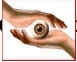 Lotus College of Optometry